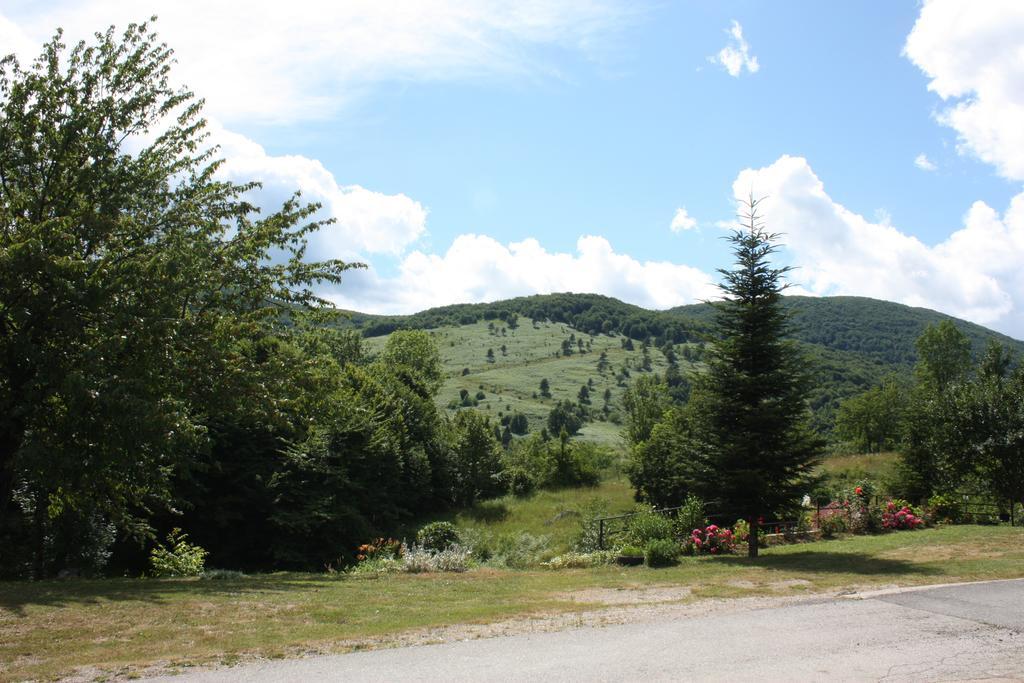 Apartment Jelena Seliste Dreznicko Δωμάτιο φωτογραφία