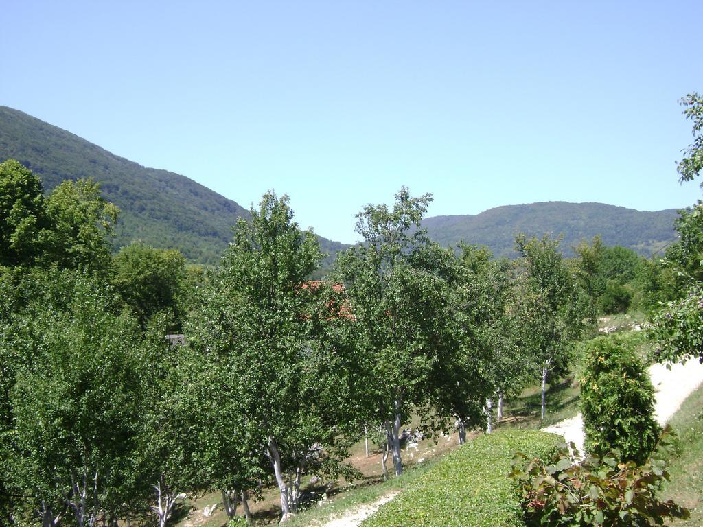 Apartment Jelena Seliste Dreznicko Δωμάτιο φωτογραφία