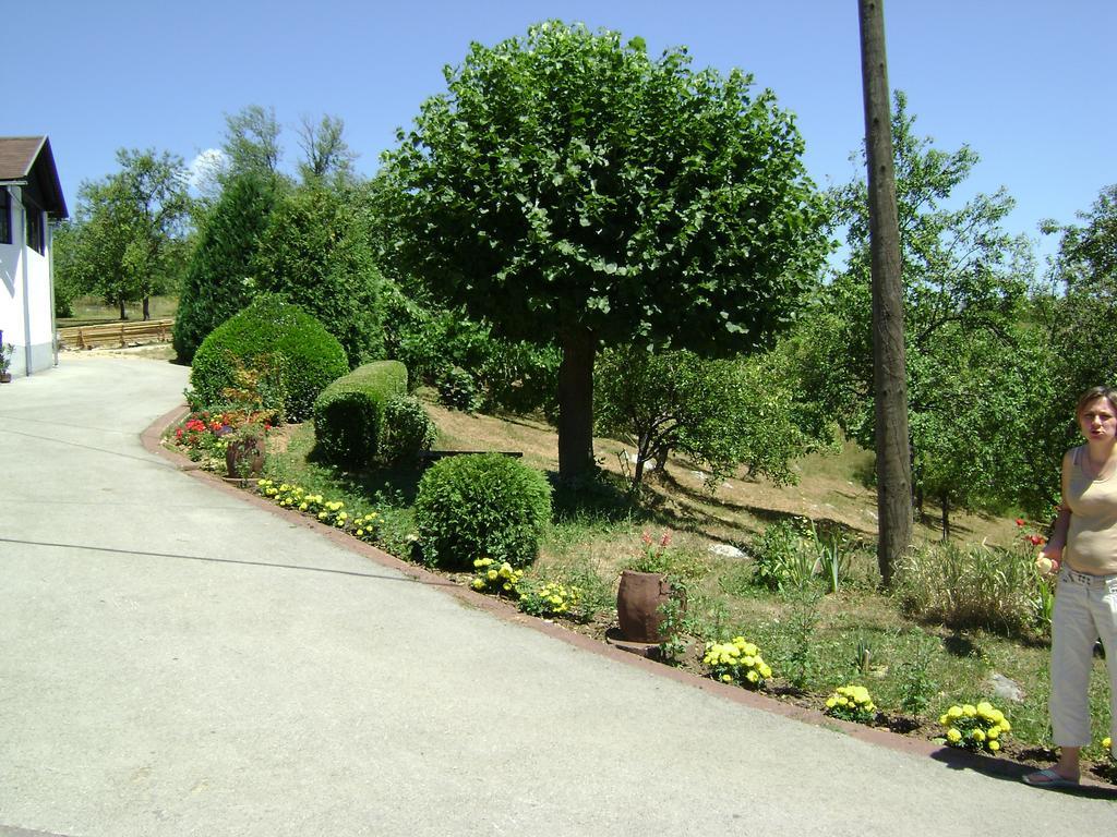 Apartment Jelena Seliste Dreznicko Δωμάτιο φωτογραφία
