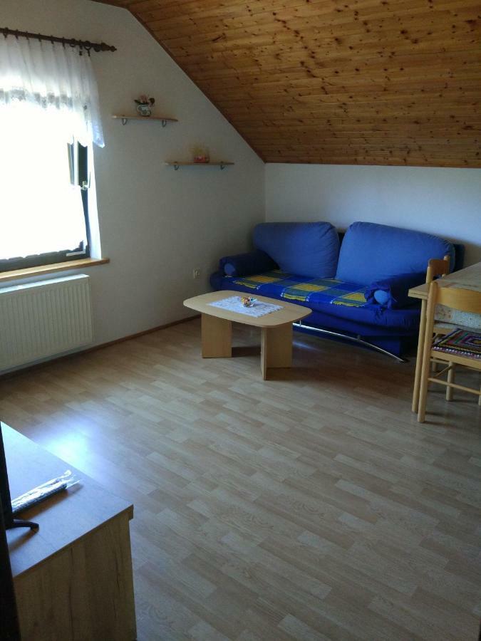 Apartment Jelena Seliste Dreznicko Εξωτερικό φωτογραφία